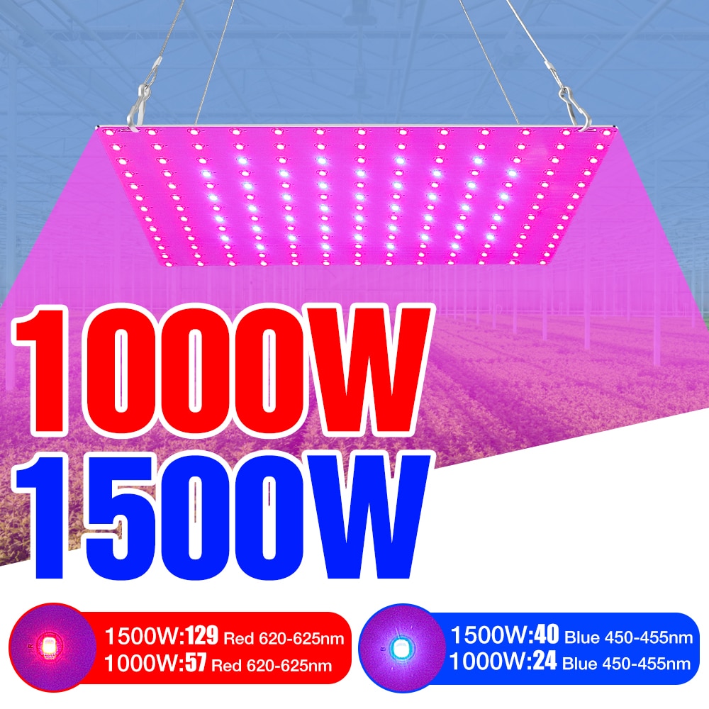 220V ü Ʈ LED Ĺ   1000W Ĺ  ..